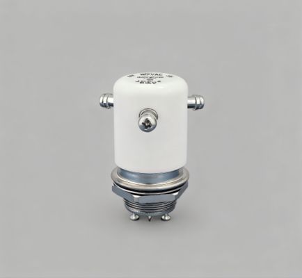 comprare JPK-2-WP Relay ad alta tensione DC15KV Portatore di corrente 50A Relay a vuoto Spirale di commutazione Voltaggio 24 VDC 12VDC online manufacture