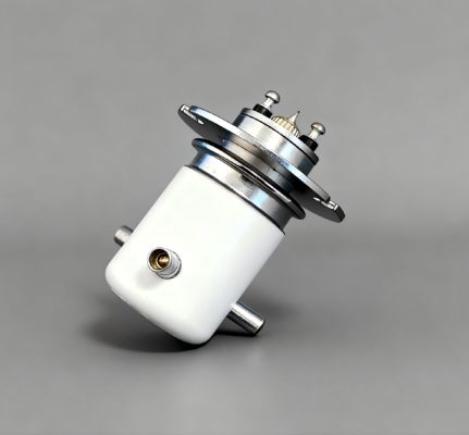 comprare relè ad alta tensione di vuoto di CC 15KV per l'interruttore di accensione di CA o di CC facendo uso di online manufacture