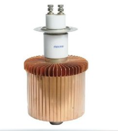 comprare L'elemento del tubo elettronico di vuoto di FU3069F per il riscaldamento di induzione sostituisce E3069 online manufacture